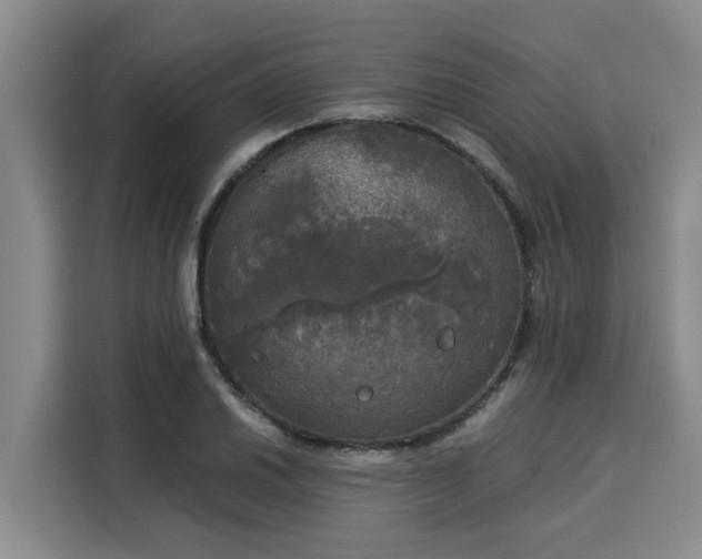 X0000116051030200911271214