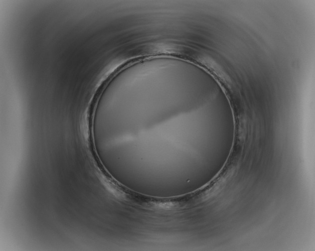X0000116051031200911271214