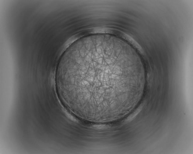 X0000116051033200911271214
