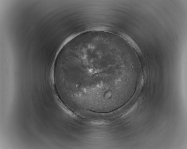 X0000116051036200911271214