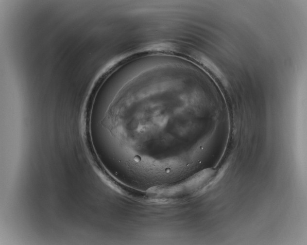 X0000116051037200911271214
