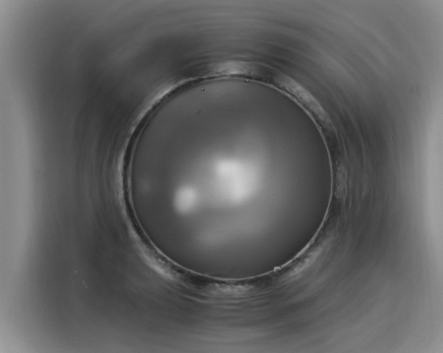 X0000116051039200911271214