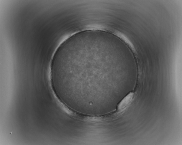 X0000116051040200911271214