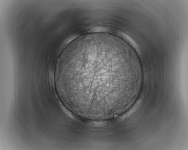 X0000116051041200911271214
