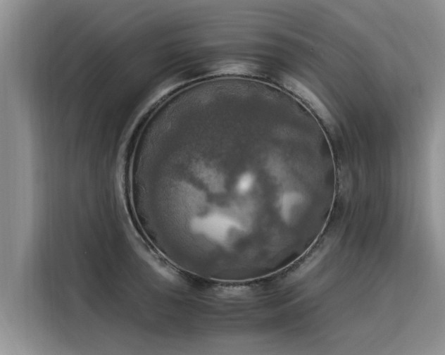 X0000116051043200911271214