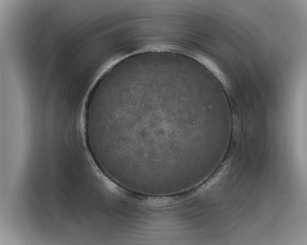 X0000116051046200911271214