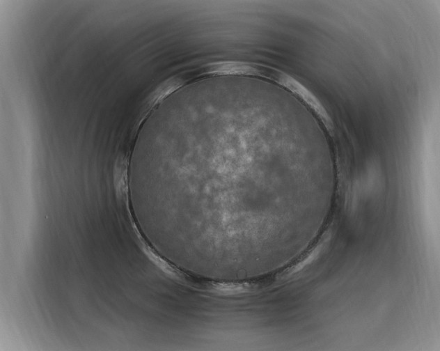 X0000116051049200911271214
