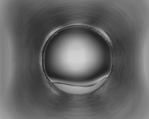 X0000116051051200911271214