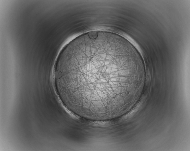 X0000116051053200911271214