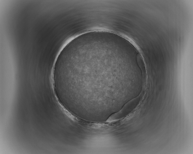 X0000116051056200911271214