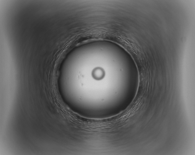 X0000116051057200911271213