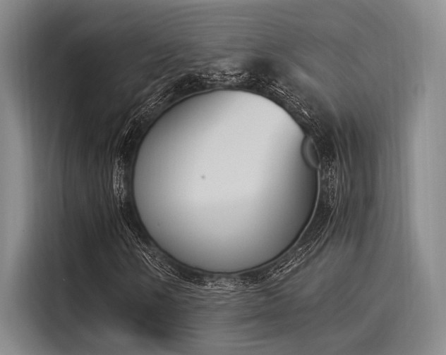 X0000116051058200911271213