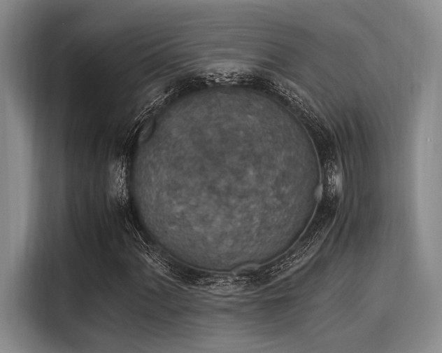 X0000116051060200911271213