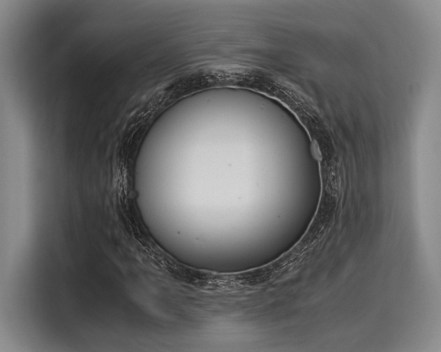 X0000116051061200911271213