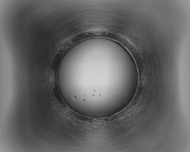 X0000116051062200911271213