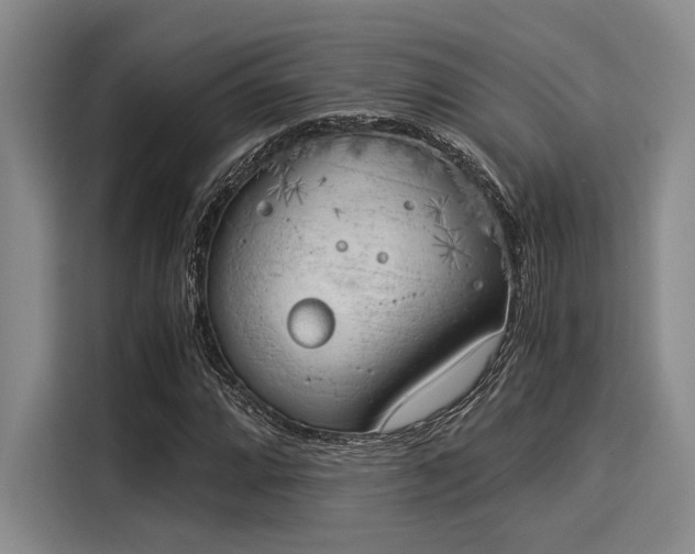 X0000116051064200911271213
