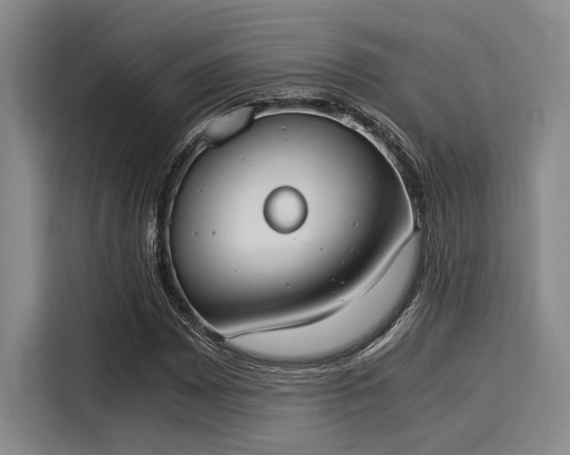 X0000116051065200911271213