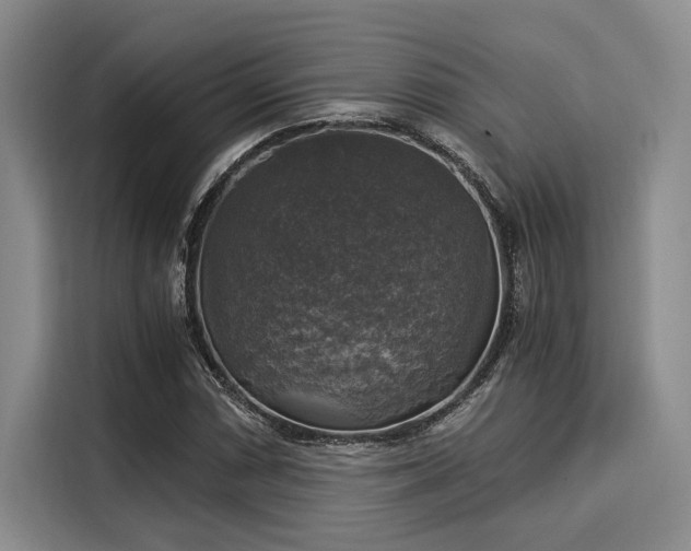 X0000116051066200911271213