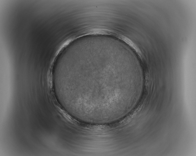 X0000116051067200911271213