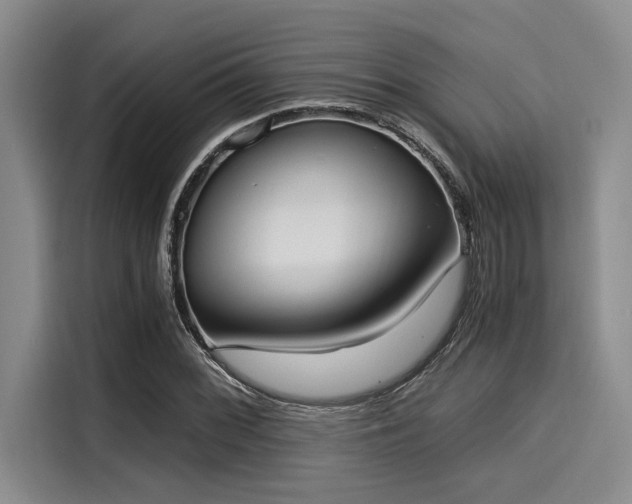 X0000116051068200911271213