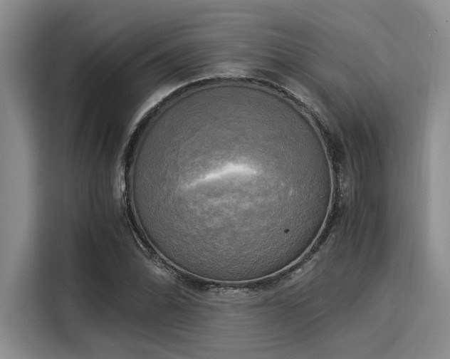 X0000116051070200911271213