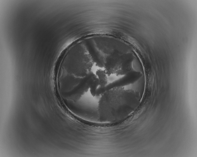 X0000116051071200911271213