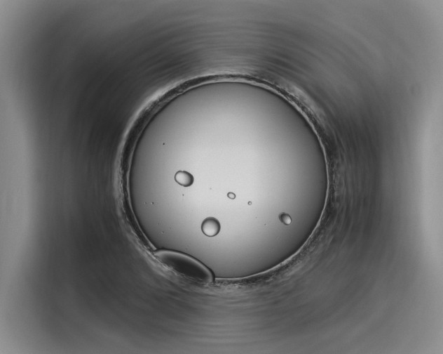 X0000116051072200911271213