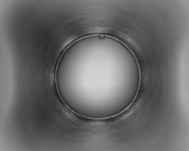 X0000116051073200911271213