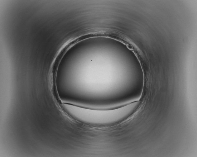 X0000116051075200911271213