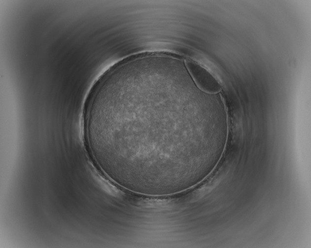 X0000116051076200911271213
