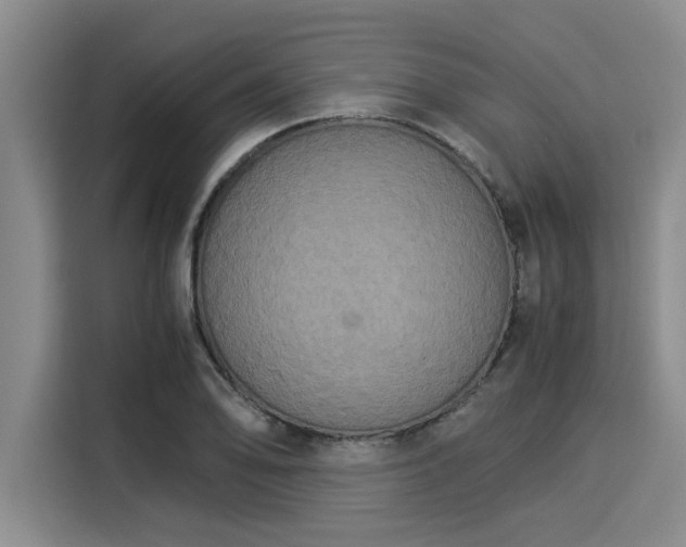 X0000116051078200911271213
