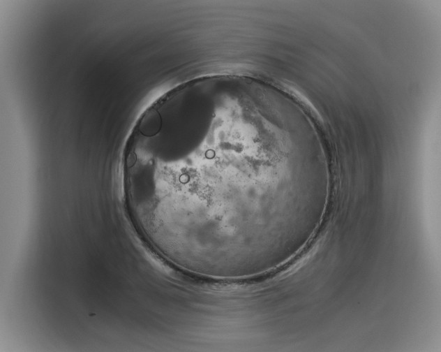 X0000116051079200911271213