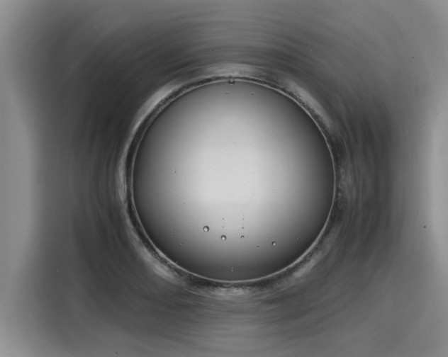 X0000116051082200911271213