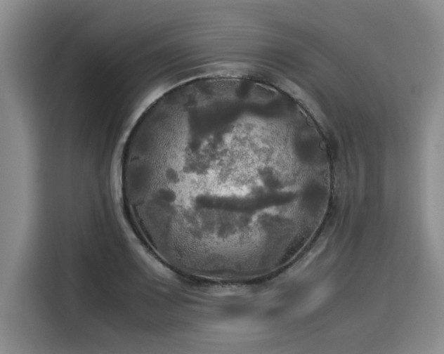 X0000116051083200911271213