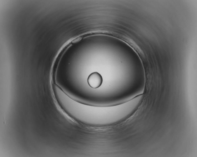 X0000116051084200911271213