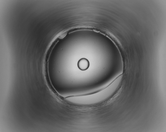 X0000116051085200911271213