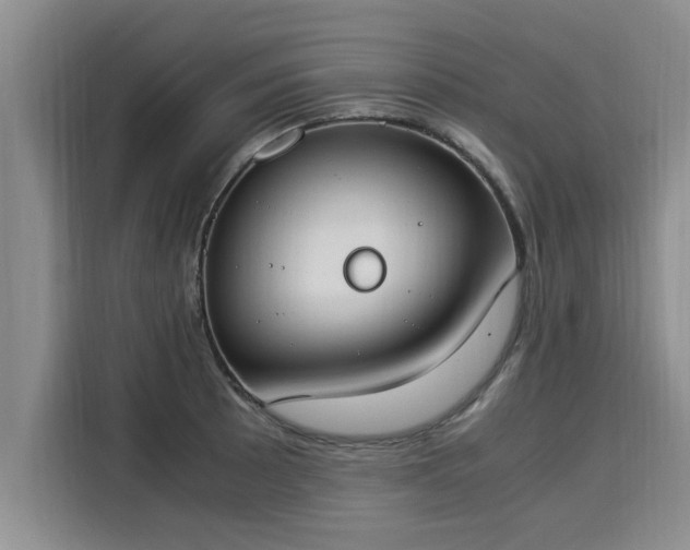 X0000116051089200911271213