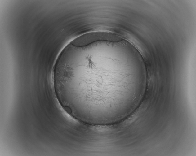X0000116051092200911271213