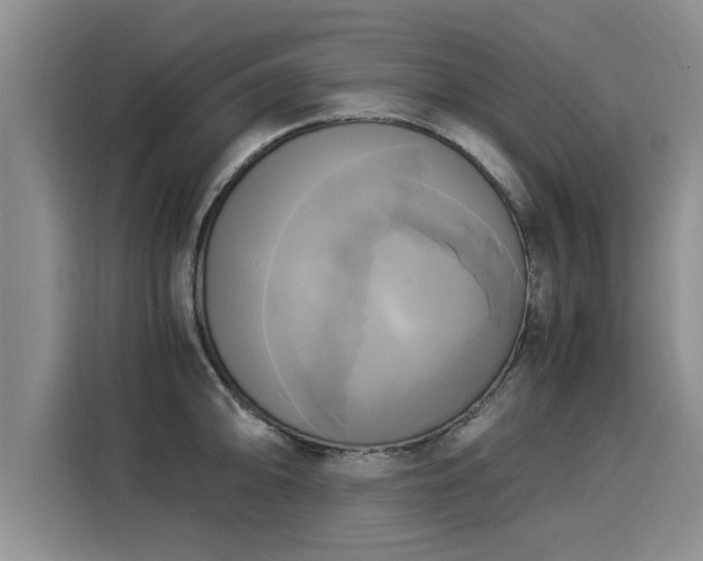 X0000116051094200911271213