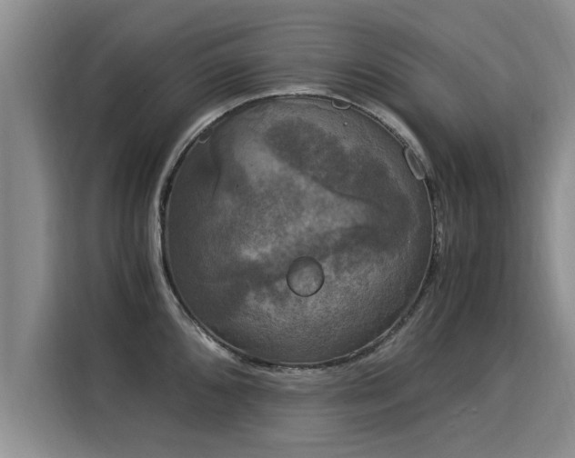 X0000116051096200911271213