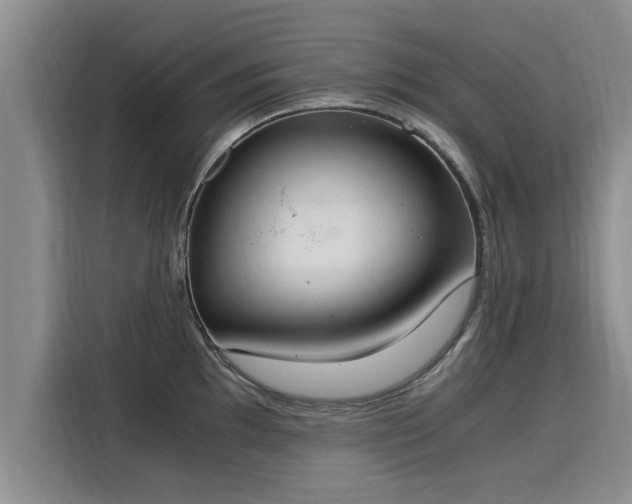 X0000116051097200911271213