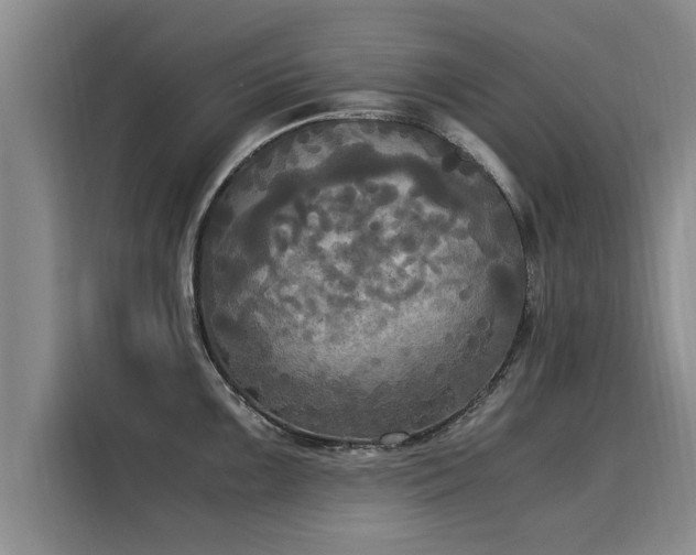 X0000116051099200911271213