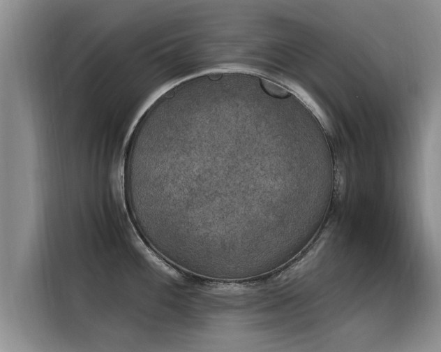 X0000116051100200911271213