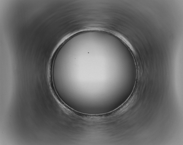 X0000116051101200911271213