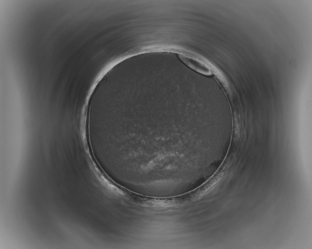 X0000116051102200911271213