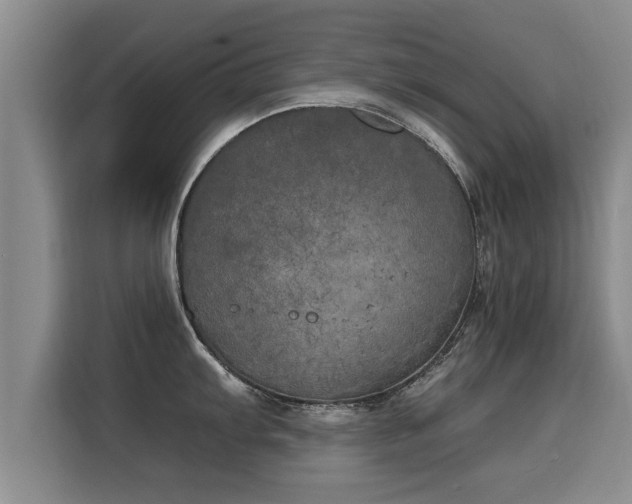 X0000116051103200911271213