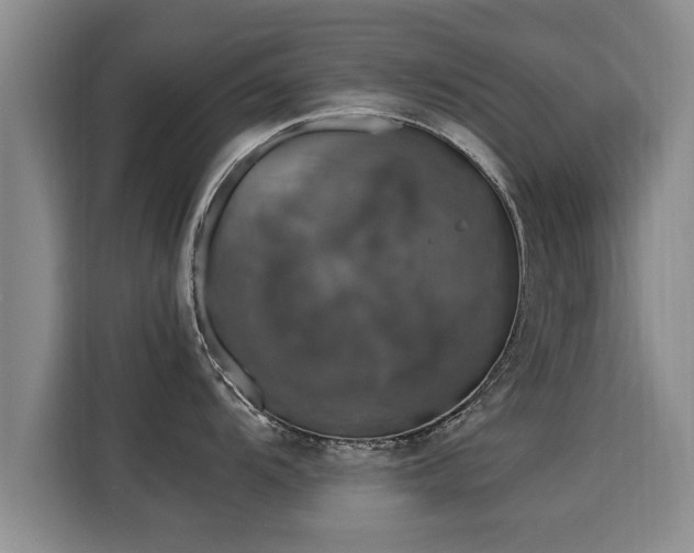 X0000116051104200911271213