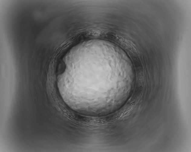 X0000116051105200911271212