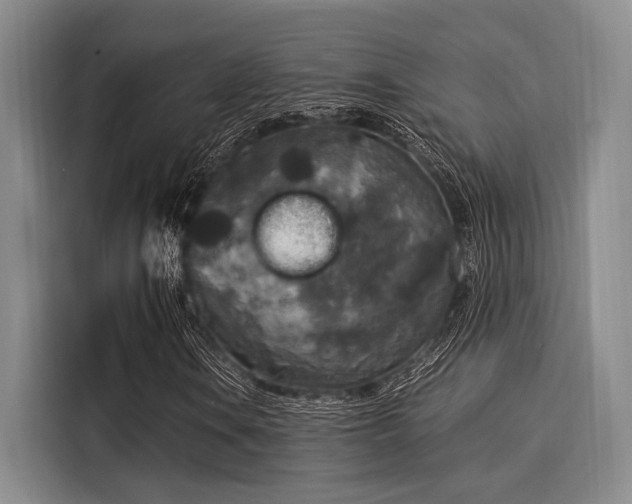 X0000116051106200911271212