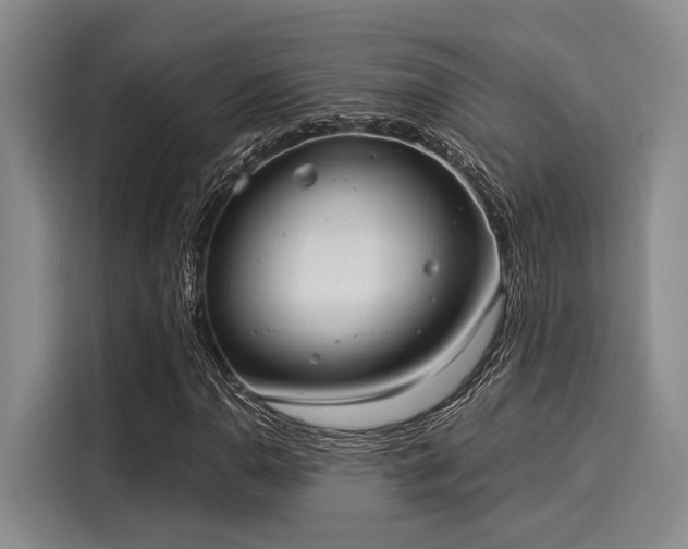 X0000116051110200911271212